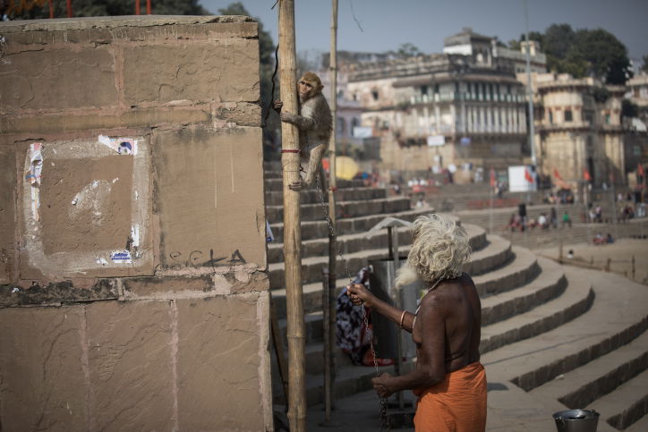 הודו: נופיה וצבעוניותה דרך עדשת  המצלמה