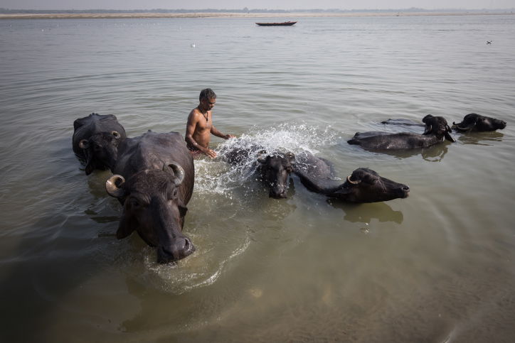 הודו: נופיה וצבעוניותה דרך עדשת  המצלמה