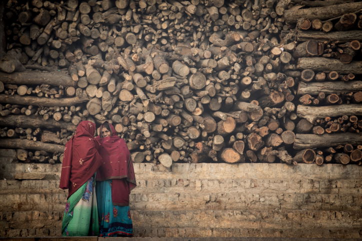 הודו: נופיה וצבעוניותה דרך עדשת  המצלמה