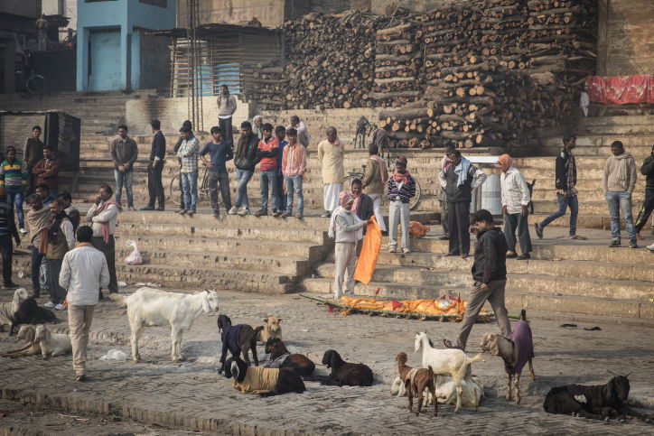 הודו: נופיה וצבעוניותה דרך עדשת  המצלמה