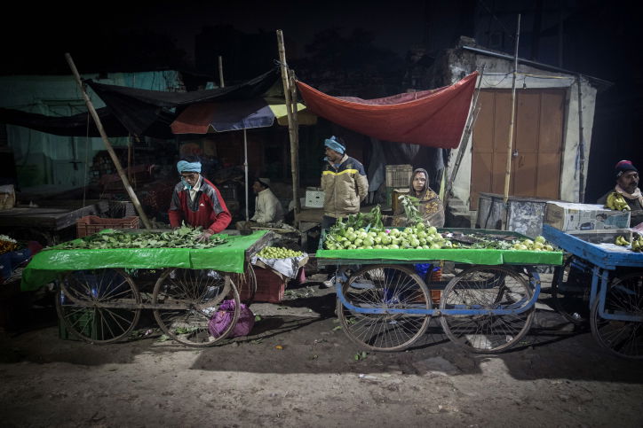 הודו: נופיה וצבעוניותה דרך עדשת  המצלמה