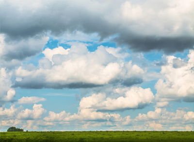 תחזית מזג האוויר: ייתכנו גשמים מקומיים