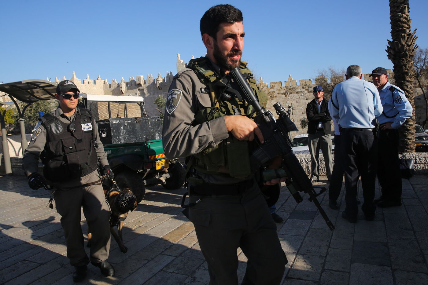 אילוסטרציה