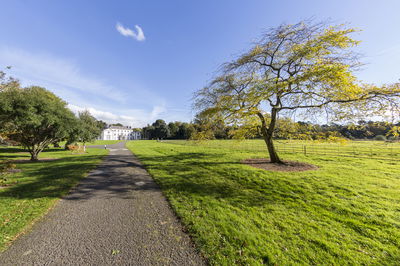 חופשה קצרה מהחורף: עליה בטמפרטורות