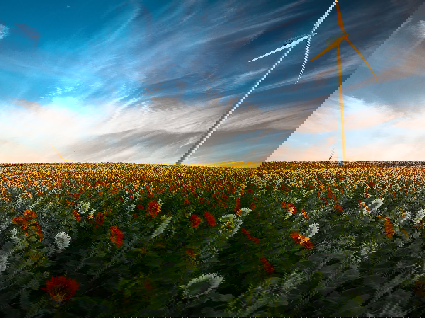 לגרושה יש עדיפות לפדות את זכויות הגרוש בנחלה? אילוסטרציה