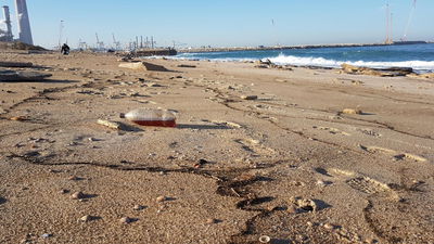 כתם הנפט הבוקר