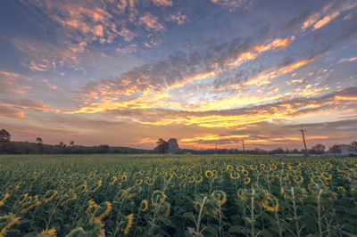 התחזית: תחול התחממות; עד סופ"ש: בהיר