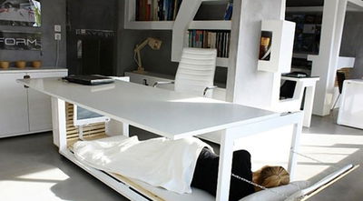 מעסיקים, כך תהפכו את העובדים לפרודקטיביים יותר