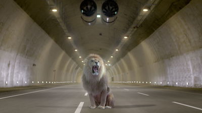 פתיחת המנהרות: כביש 1 יחסם לתנועה