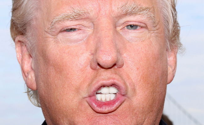 טראמפ, הנשיא הנבחר