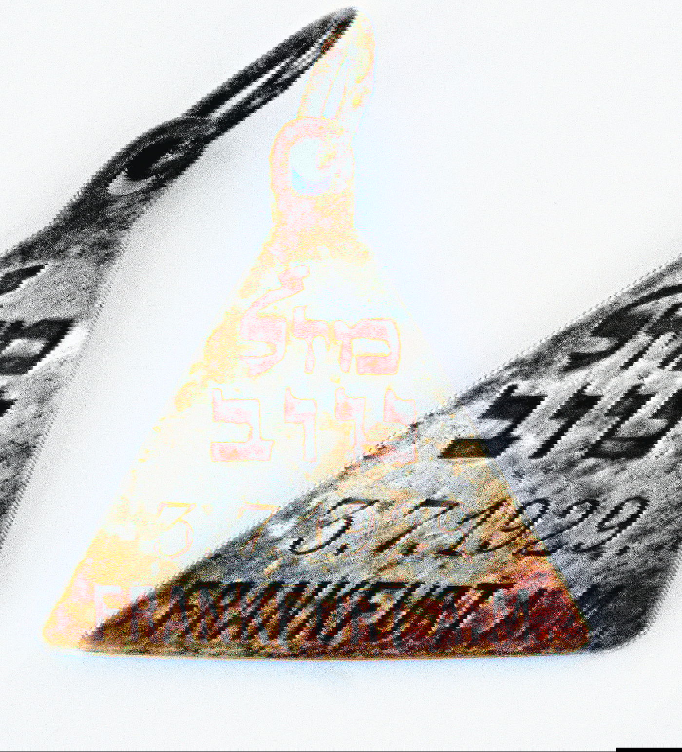 תליון מסקרן נמצא בחפירה בסוביבור