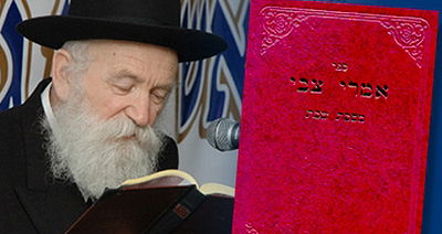 רבי מאיר צבי גרוזמן זצ"ל ואחד מספריו