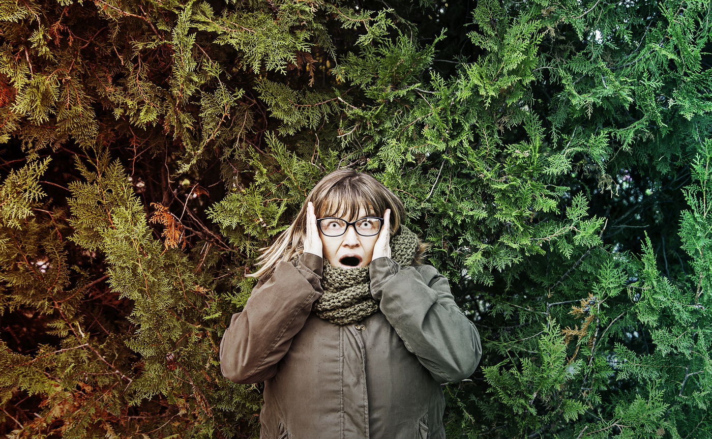 אילוסטרציה. למצולמת אין קשר לתוכן הידיעה