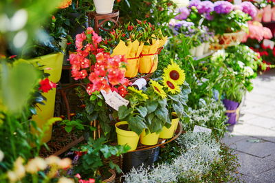 פוטרה בשל קשיים כלכליים או עקב ההריון?