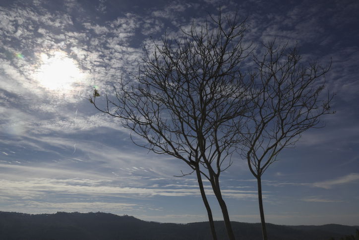 העננים המרהיבים בשמי ירושלים | גלריה
