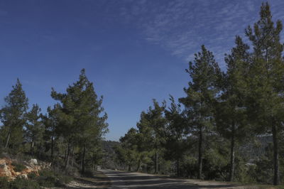 עין כרם, אתמול