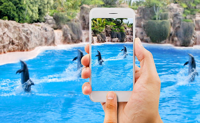 אילוסטרציה