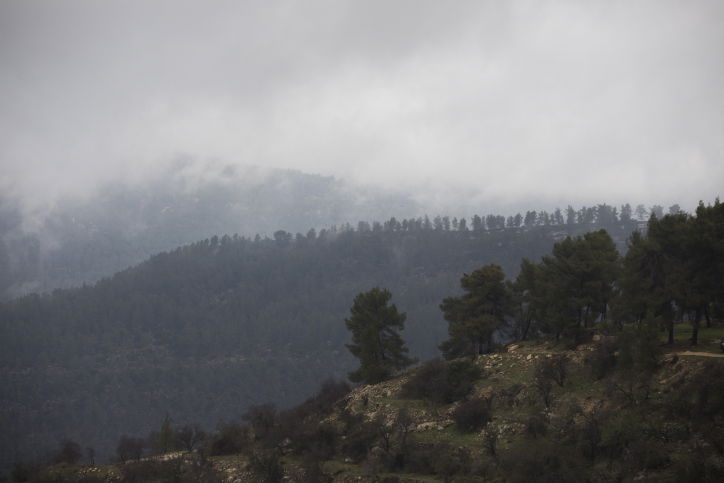 יופי חורפי: הרי ירושלים דרך עדשת המצלמה