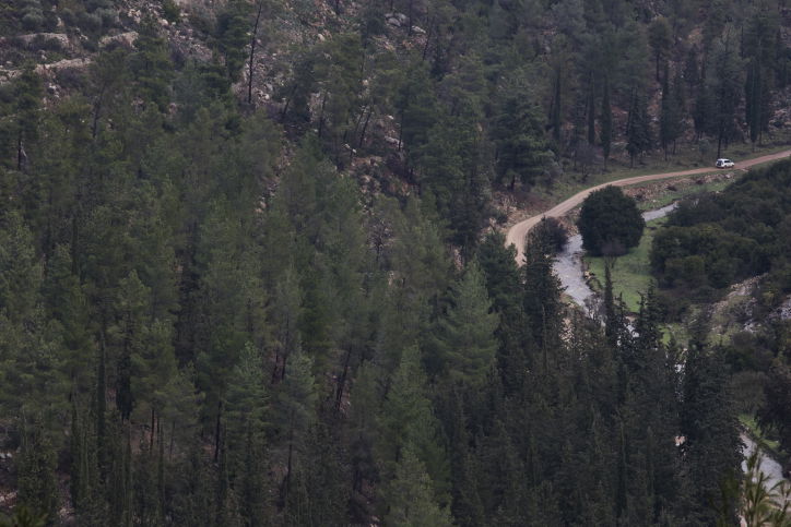 יופי חורפי: הרי ירושלים דרך עדשת המצלמה