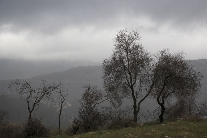 יופי חורפי: הרי ירושלים דרך עדשת המצלמה