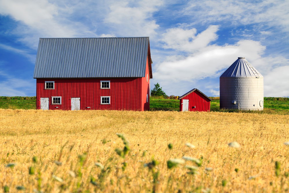 השיפוצים - הוכחה לשיתוף בבית המגורים. אילוסטרציה