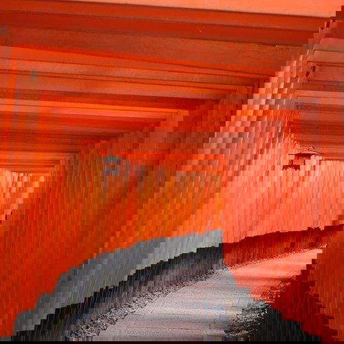 10 תמונות מדהימות שצילמו ילדים בתחרות של נשיונל ג'יאוגרפיק