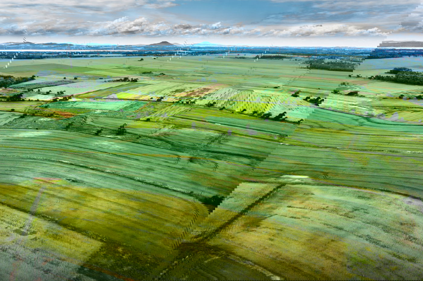 הבן לא קיים את חלקו ההסכם והזניח את האם. אילוסטרציה