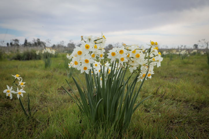 התחזית: חם מהרגיל לעונה, מחר יחזור גשם