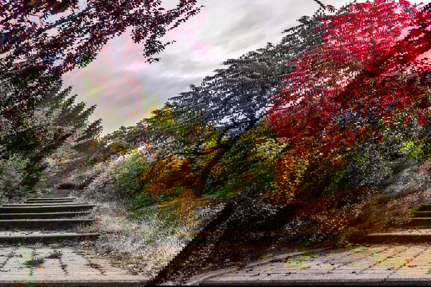 התובעת מצאה את הגן מושחת והרוס. אילוסטרציה