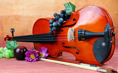 אילוסטרציה