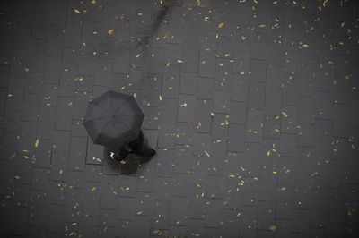 היום יהיה קר וגשום, ייתכנו סופות רעמים