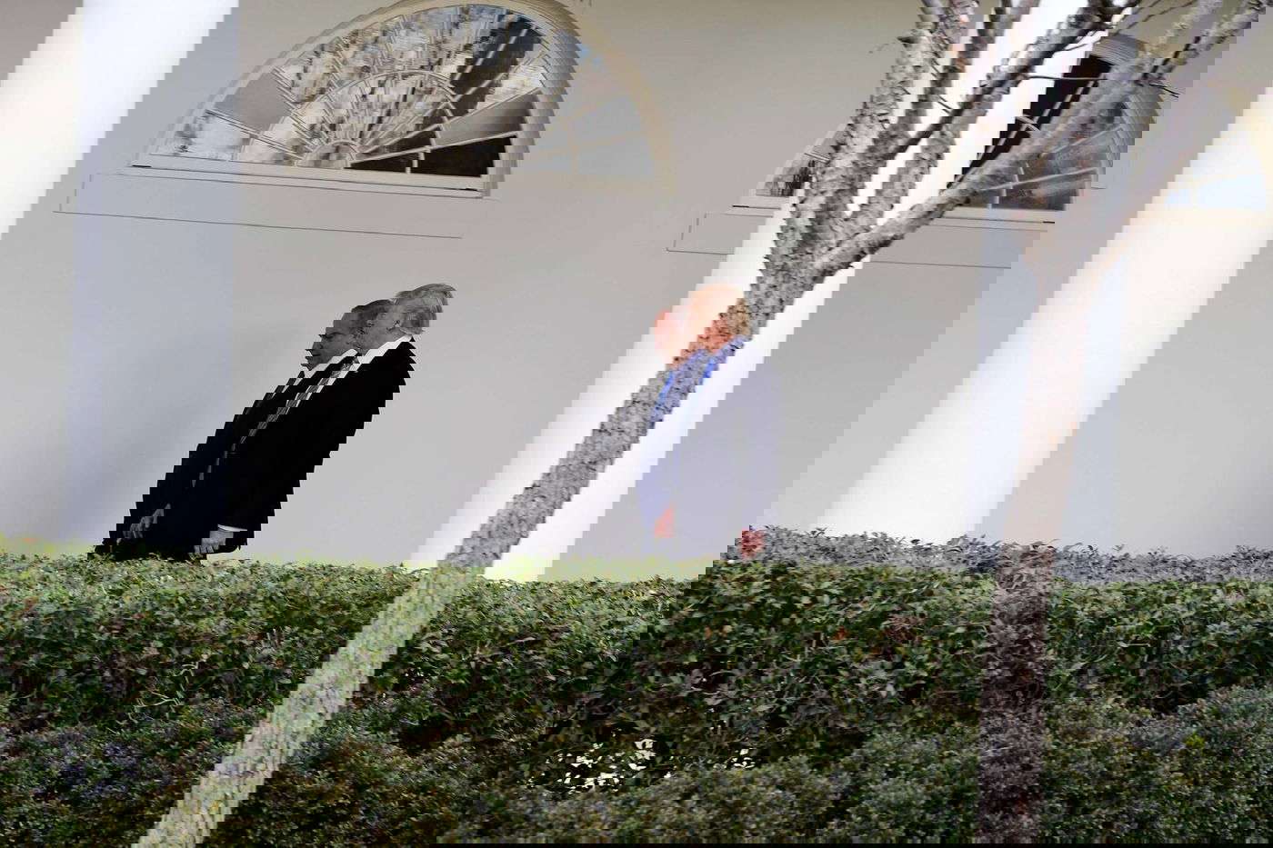 טראמפ: "שתי מדינות או  מדינה אחת? מה שהצדדים ירצו"