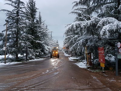 שלג במרום גולן