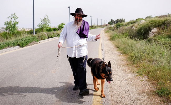 אילוסטרציה