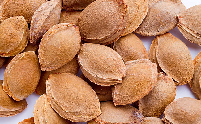 גוגואים (אג'ואים)