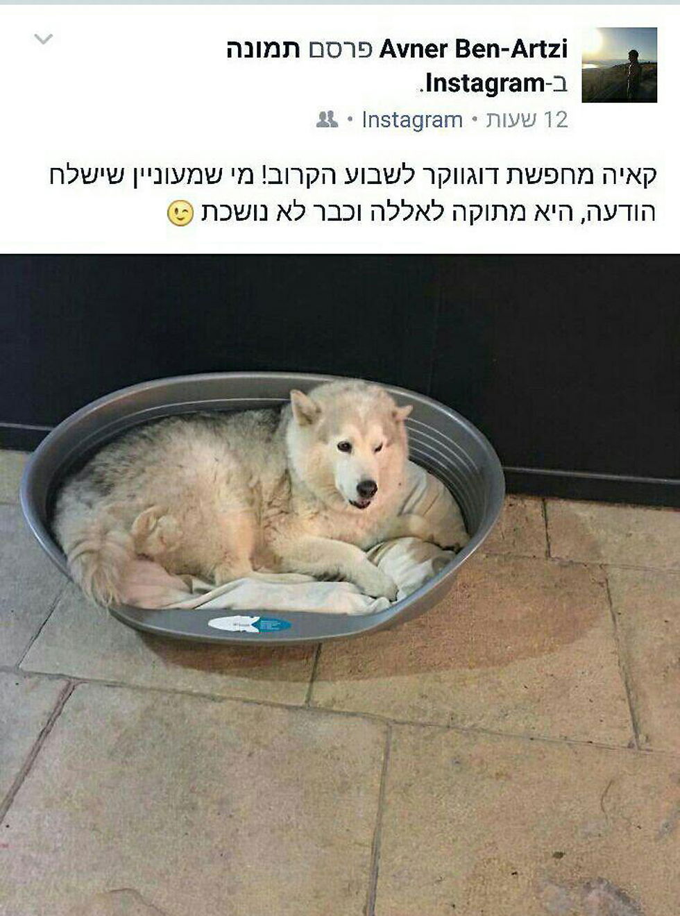 הפוסט שפרסם אבנר נתניהו