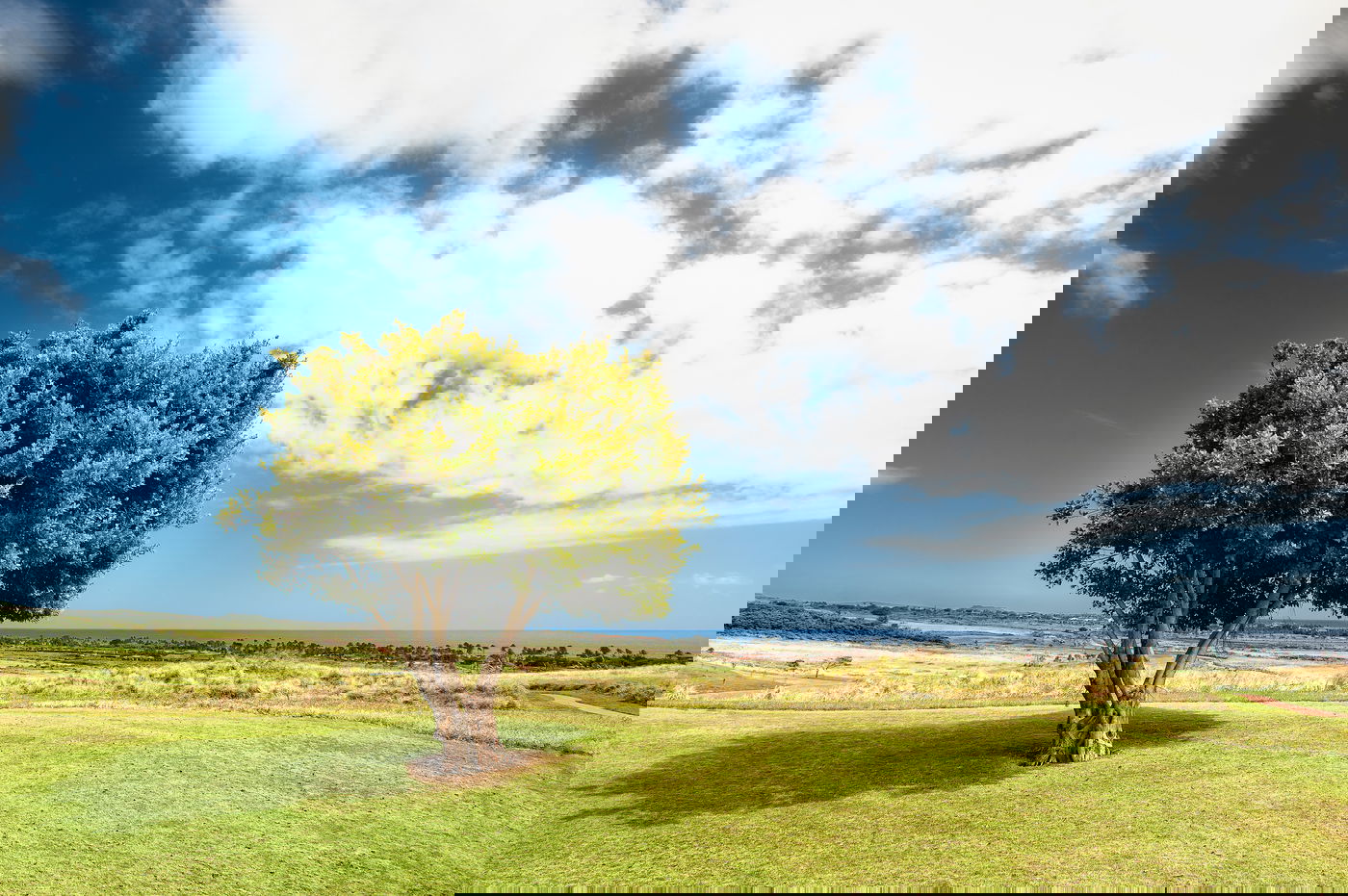 מכר את הקרקע פעמיים, למי שייכת? אילוסטרציה