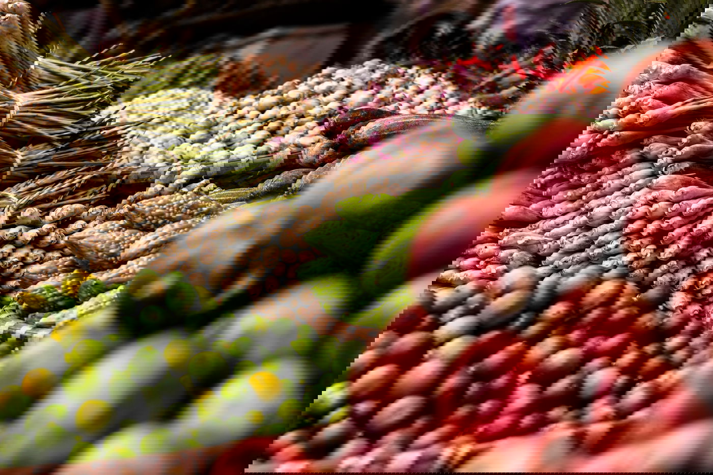 עסק בתחום המזון פעל ללא רשיון. אילוסטרציה