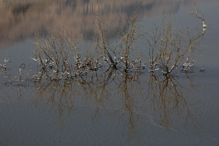 ים המוות? ים המלח בסדרת תמונות מרהיבה