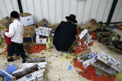 פירות השיטה הנוכחית. אילוסטרציה