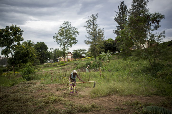 'ארץ אלף הגבעות' - דרך עדשת המצלמה
