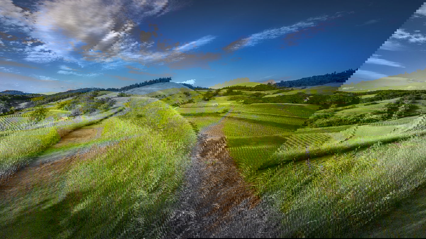 המנוחה העבירה זכויותיה בקרקע בעסקאות נוגדות. אילוסטרציה