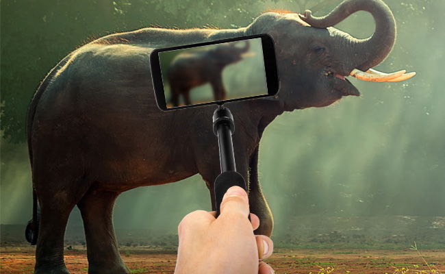 אילוסטרציה