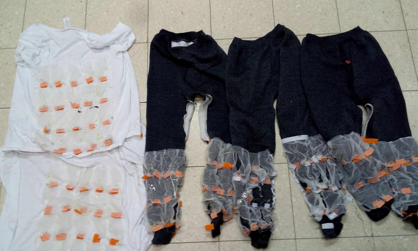 מערכת הבגדים עם הכלובים