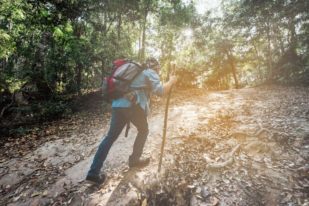 תרומה: הכל ברצון / הרב ישראל אסולין