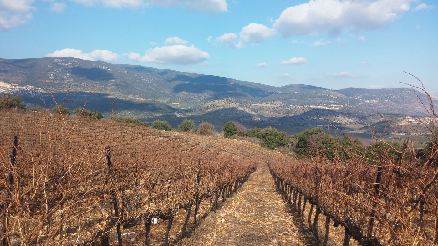 לומדי התורה שהפכו את הקיבוץ החילוני וחיים בשותפות עד הגאולה