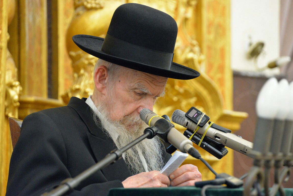 הגר"ג אדלשטיין: והגית בו יומם ולילה גם בפורים