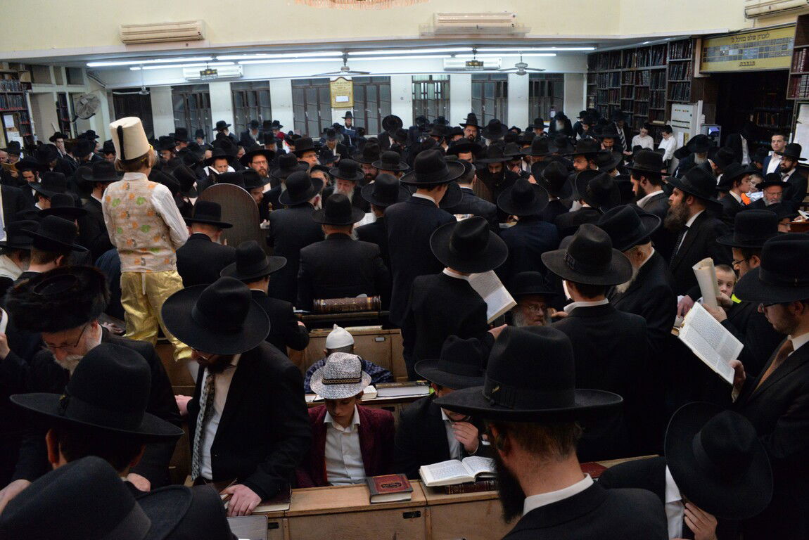 "על מקרא מגילה": ב'לדרמן' הכו את המן וגם את ה"עץ"