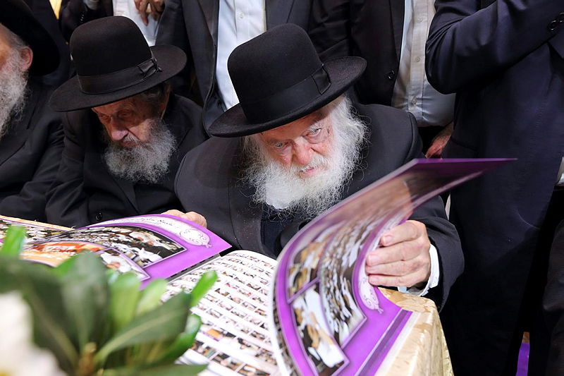 ספרי הלכה עם איורים: מה דעתו של הגר"ח?