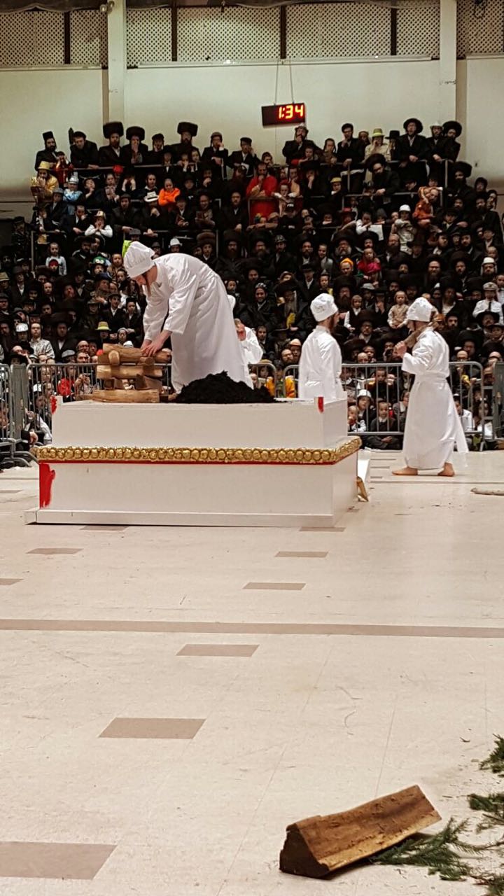 הצגת פורים בסקווירא: נס חנוכה • וידאו